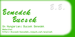 benedek bucsek business card